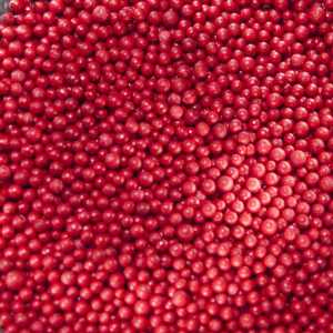 Sprinkles - Beads - Red