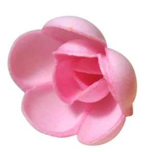 Wafer Roses - Pink