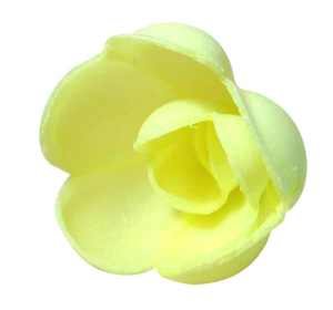 Wafer Roses - Yellow