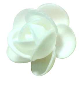 Wafer Roses - White